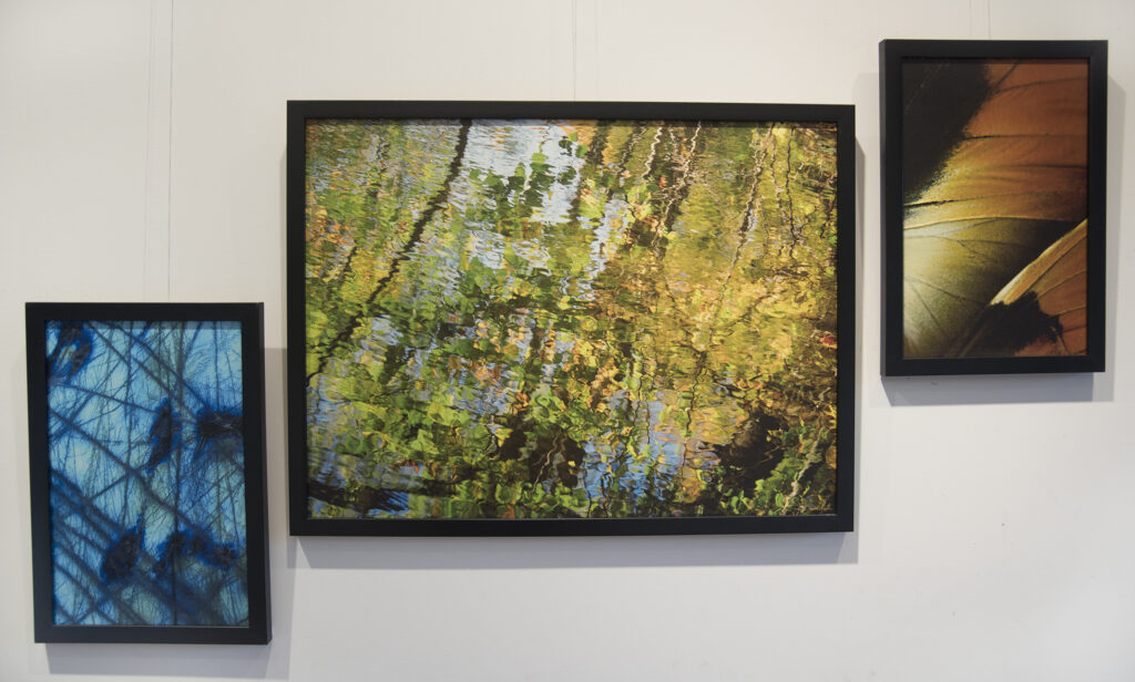 James Burlitch&nbsp;• <em>Mineral Morphs To Butterfly</em>&nbsp;• Three framed prints (giclée) on canvas&nbsp;• 48″×&nbsp;24″&nbsp;• $450.00