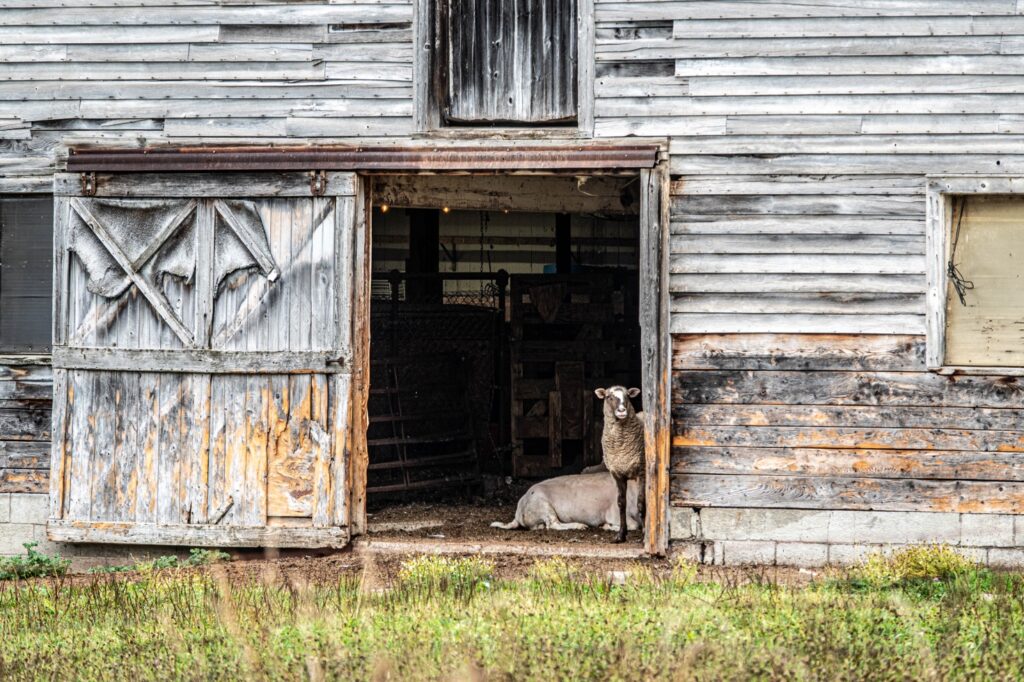 Sherry Dans&nbsp;• <em>The Stable Home</em>&nbsp;• Digital print&nbsp;• 20″×&nbsp;16″&nbsp;• $175.00