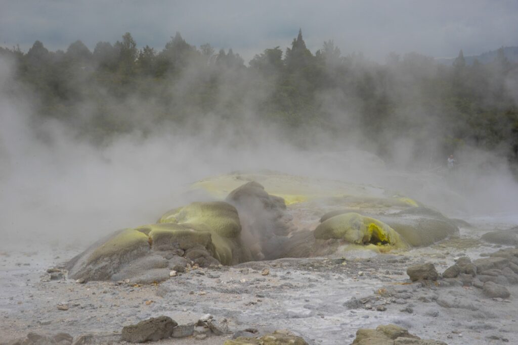 Libby Hedrick&nbsp;• <em>Rotorua #4</em>&nbsp;• Inkjet print&nbsp;• 19″×&nbsp;13″&nbsp;• $300.00