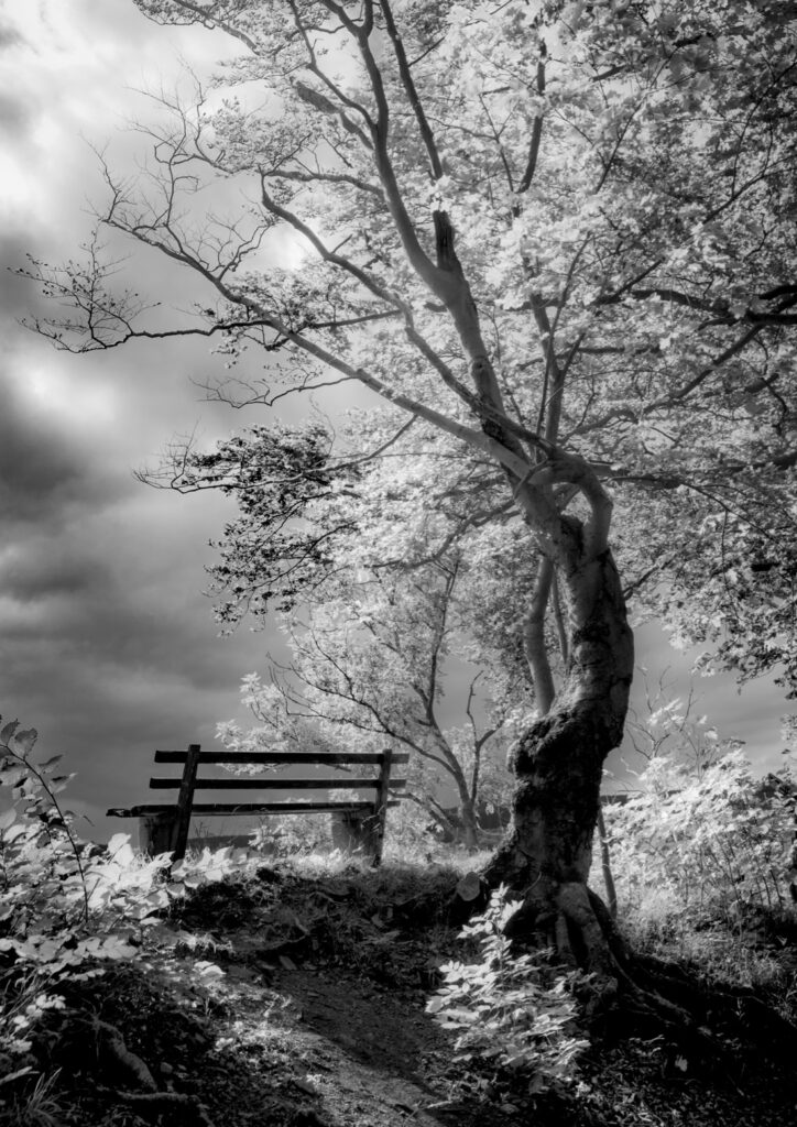 Ray Helmke&nbsp;• <em>Burgberg Bench</em>&nbsp;• Digital print&nbsp;• 20″×&nbsp;26″&nbsp;• $200.00