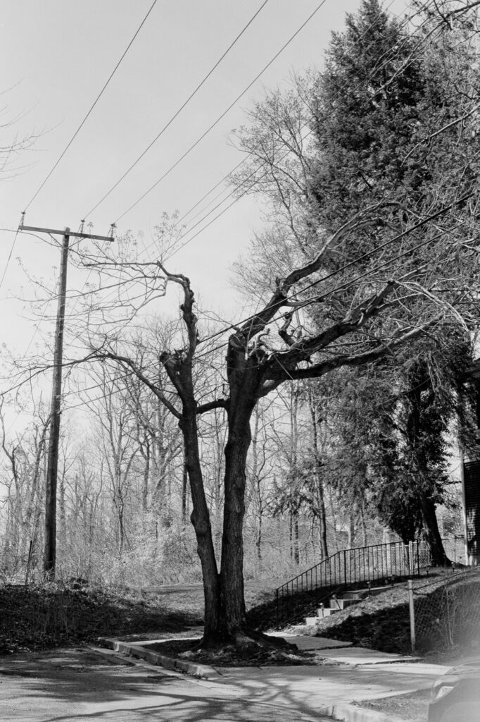 Ami Hernandez&nbsp;• <em>University Blvd</em>&nbsp;• Digital print&nbsp;• 14″×&nbsp;21″&nbsp;• $300.00