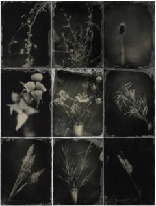 January Bouquet 1 by Crystal Van Gaasbeck