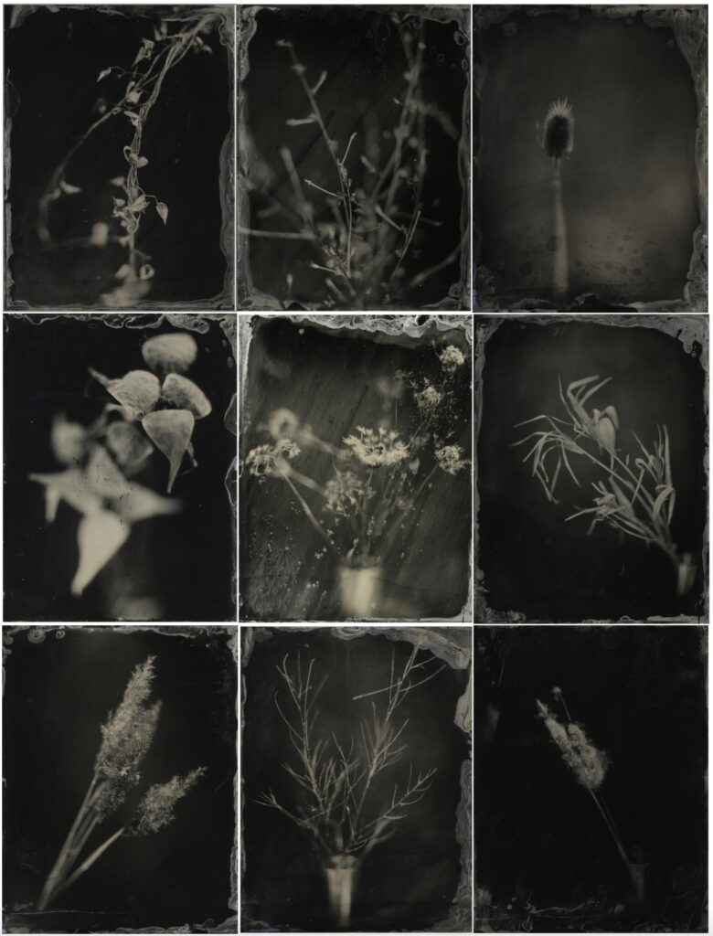 Crystal Van Gaasbeck&nbsp;• <em>January Bouquet 1</em>&nbsp;• Wet plate collodion on aluminum&nbsp;• 22″×&nbsp;32″&nbsp;• $1,200.00