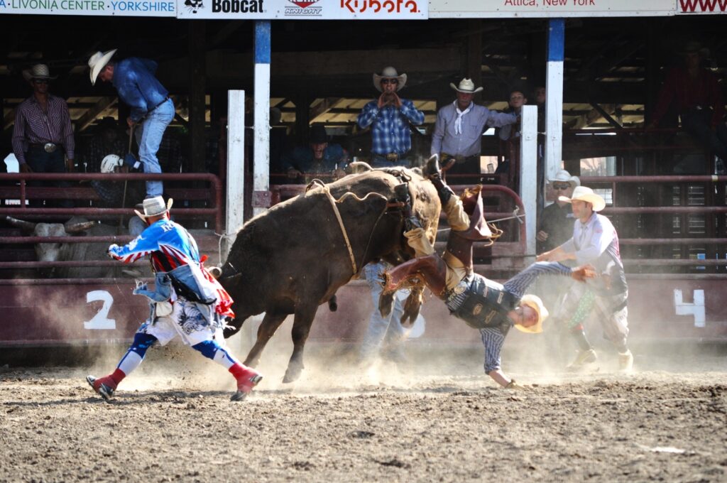 Nicholas White&nbsp;• <em>Rodeo</em>&nbsp;• Digital print&nbsp;• 14″×&nbsp;11″&nbsp;• $175.00