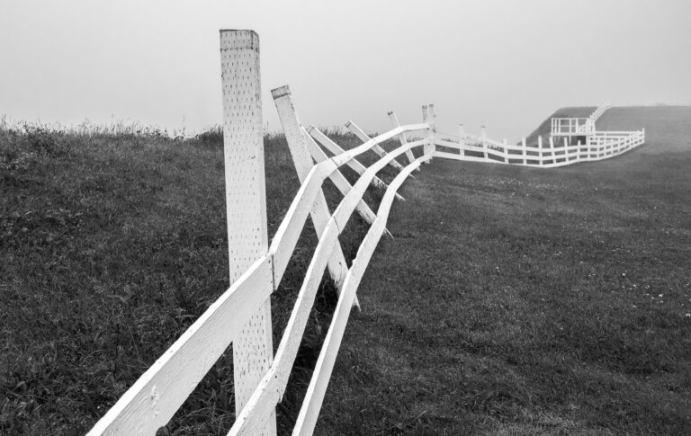 Clifftop Barrier by Sandra Kirker