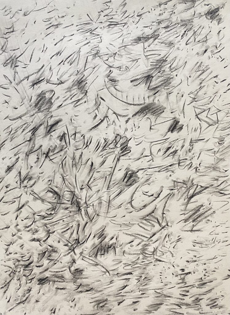Ray Foody&nbsp;• <em>All the Rage</em>&nbsp;• Charcoal and graphite on paper, matted and framed to 19 x 25&nbsp;• 18″×&nbsp;24″&nbsp;• $300.00
