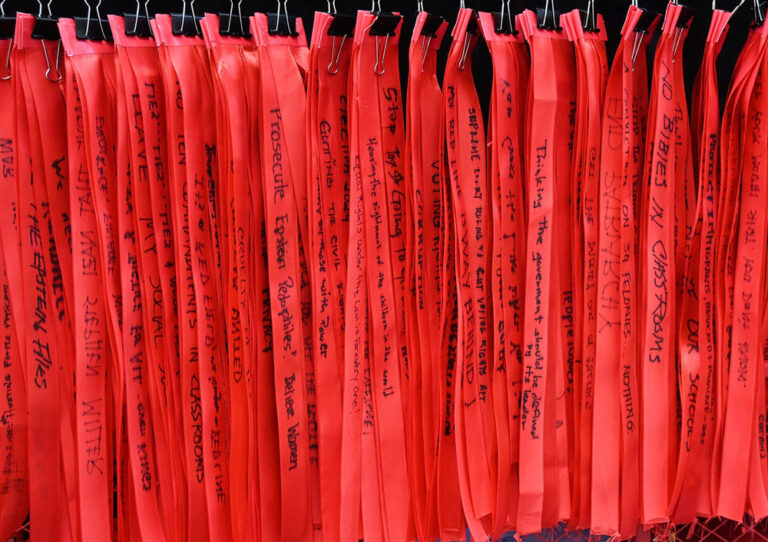 Red Lines by DemocracyDefenderPMB