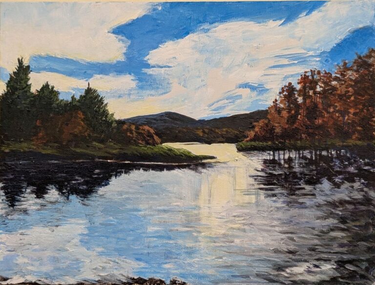 Beaver Pond at Stoney Lonesome Road, Ticonderoga NY by Diana Ozolins