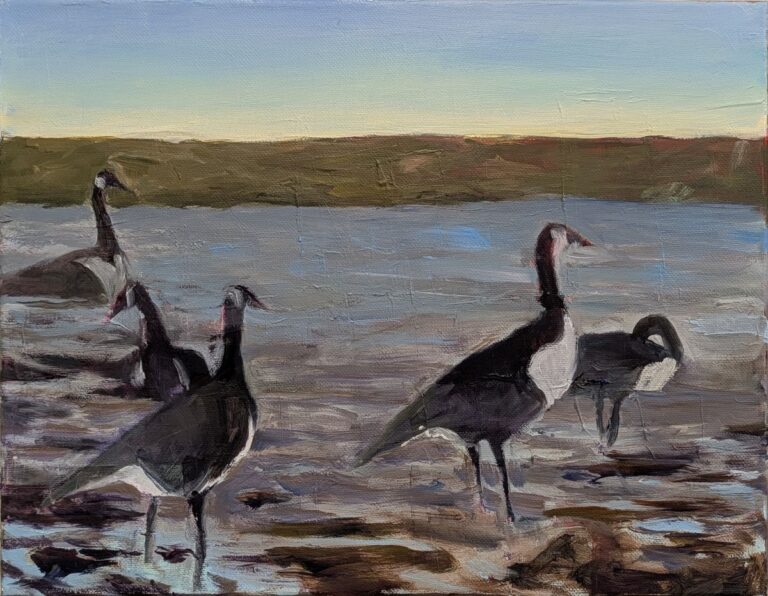 Brunch for Geese in March at the Boat Launch in Cass Park by Diana Ozolins