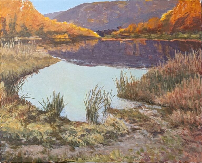 Lindsey Parsons Biodiversity Preserve by Diana Ozolins